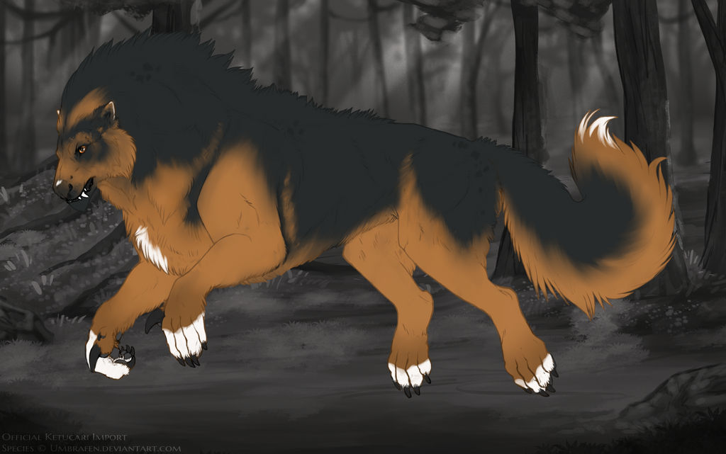 KT-1851: Fenris (F/B/E/Me)