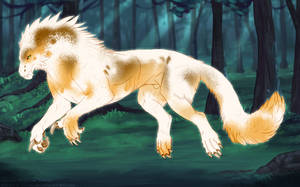 Thumbnail for KT-1916: Elwyn