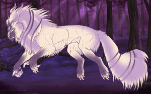 Thumbnail image for KT-2008: Eclipse