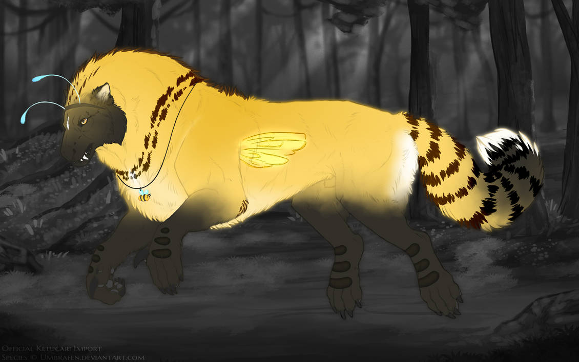 KT-2013: Humbey (M/B)