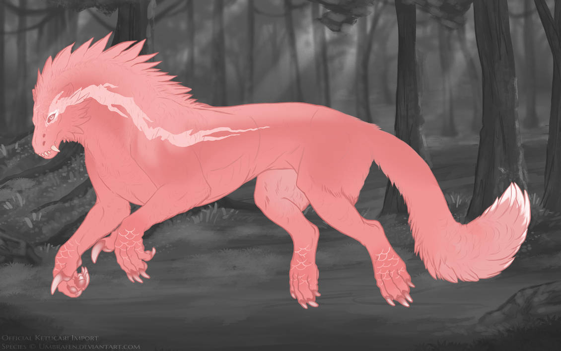 KT-2058: Carita, the Lady of  Light (F/B)