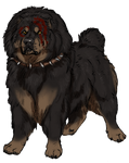 Hibridi War Dog by Matriarchs-Haunt
