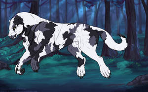 Thumbnail for KT-2088: Elnyyn