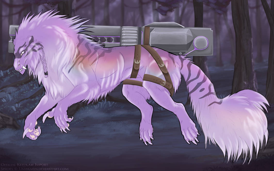 KT-2119: Quiet the Mind