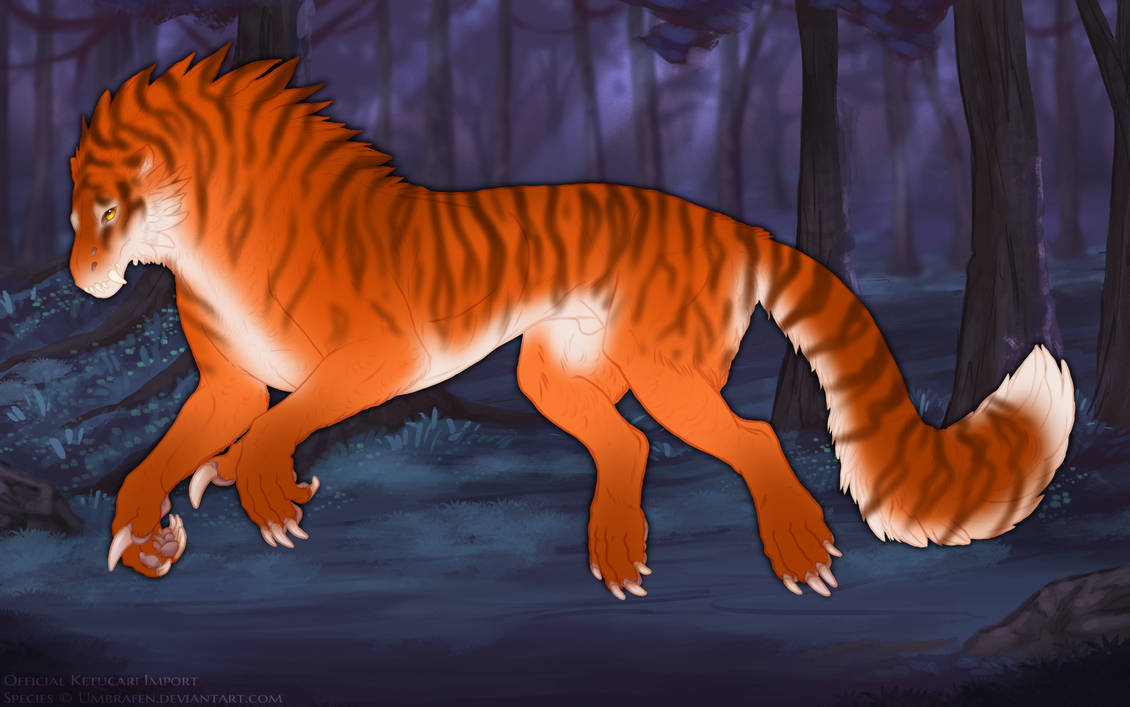 KT-2137: Tora