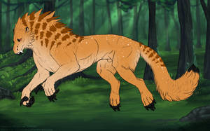 Thumbnail for KT-2215: Oculos