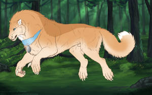 Thumbnail for KT-2162: Good Boi