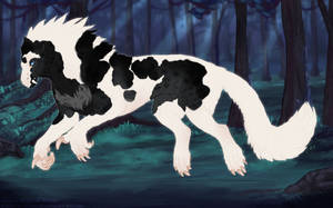 Thumbnail for KT-2224: Aristide