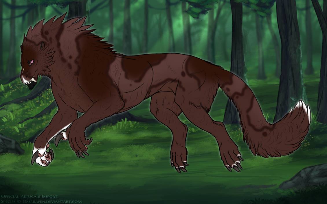 KT-2241: Rashka'a'nom