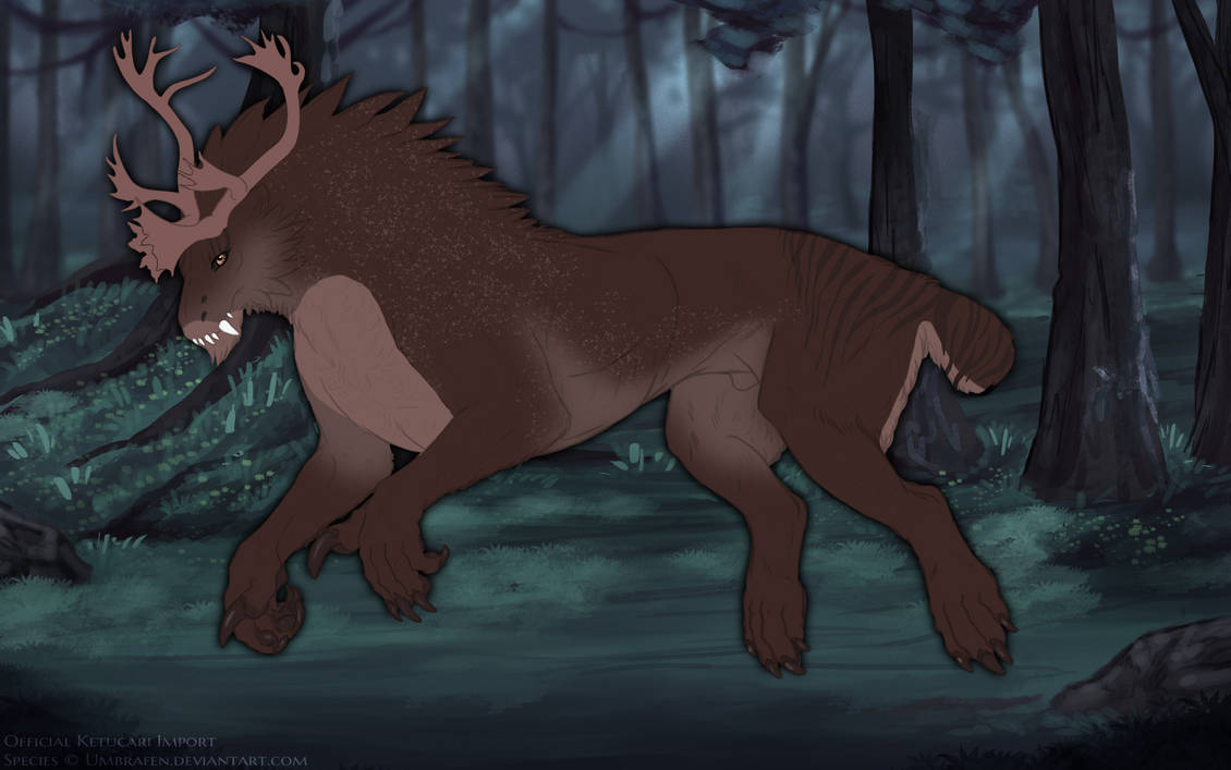 KT-2471: Reindeer