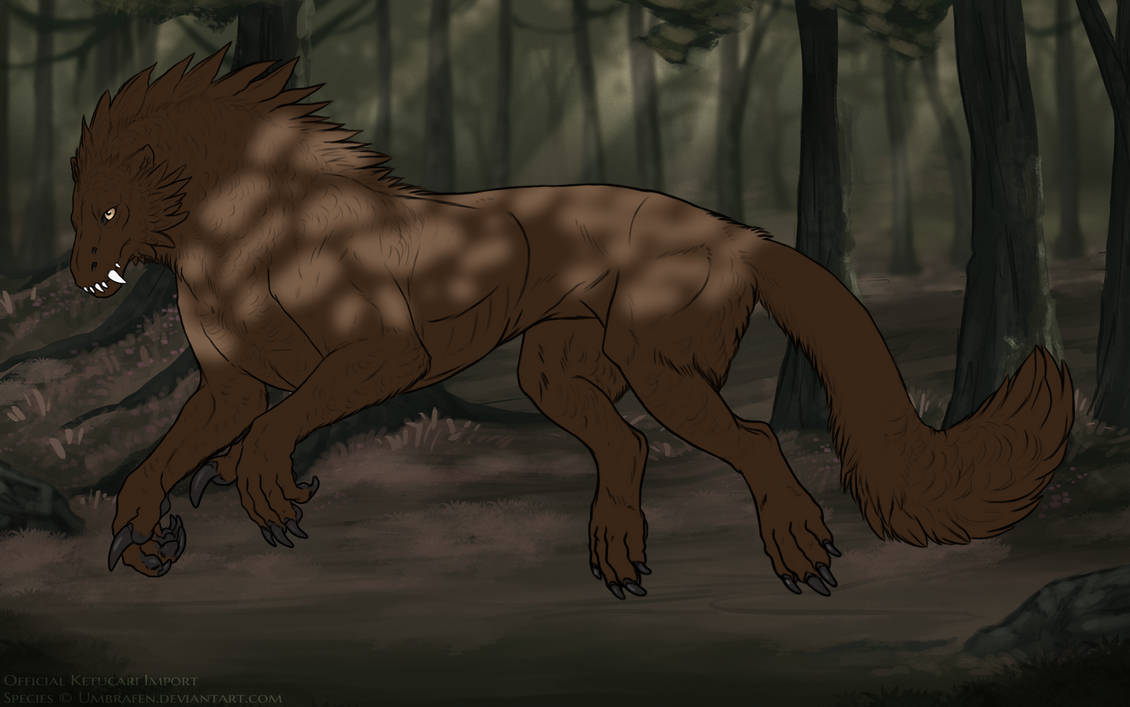 Overcast Light by Matriarchs_Haunt