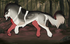 Thumbnail for ST-3206: Jed