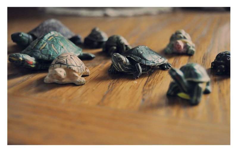 Turtle March Deviantart Three Rocks Turtle. by these-streets on DeviantArt