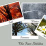Impression Four Seasons