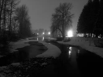 Snow in the Slough