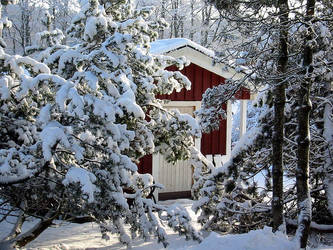 Snowy garden