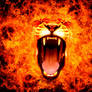 Lioness fire