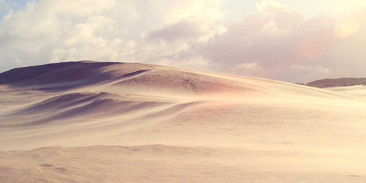 .: the vast desert :.