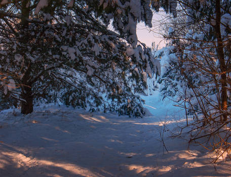 Passing through a frozen veil