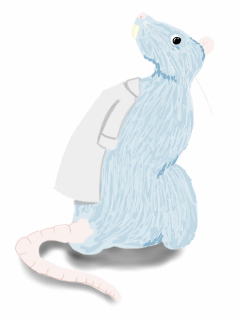 Lab Rat Deviantart Lab rat by Fudim on DeviantArt