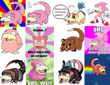 EPIC SLOWPOKES