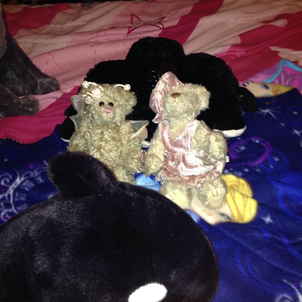 Beanie Baby Bear Plushies