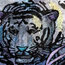Tiger no.3 The Picasso Tiger