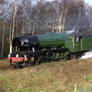 Flying Scotsman