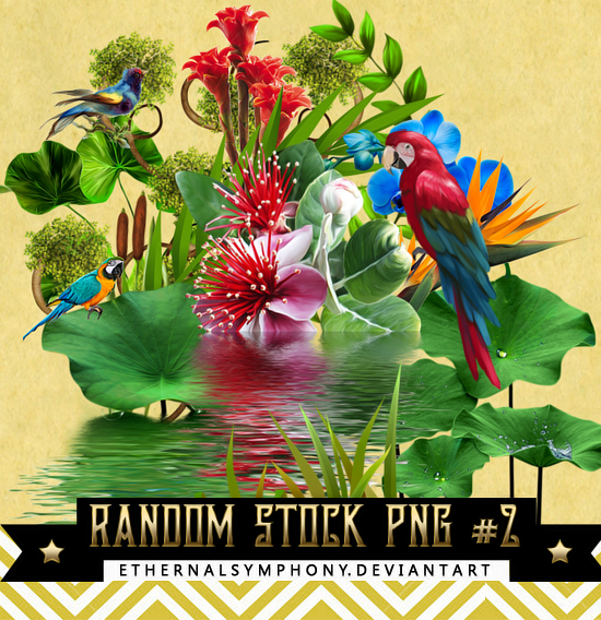 RandomStock PNG Pack #2