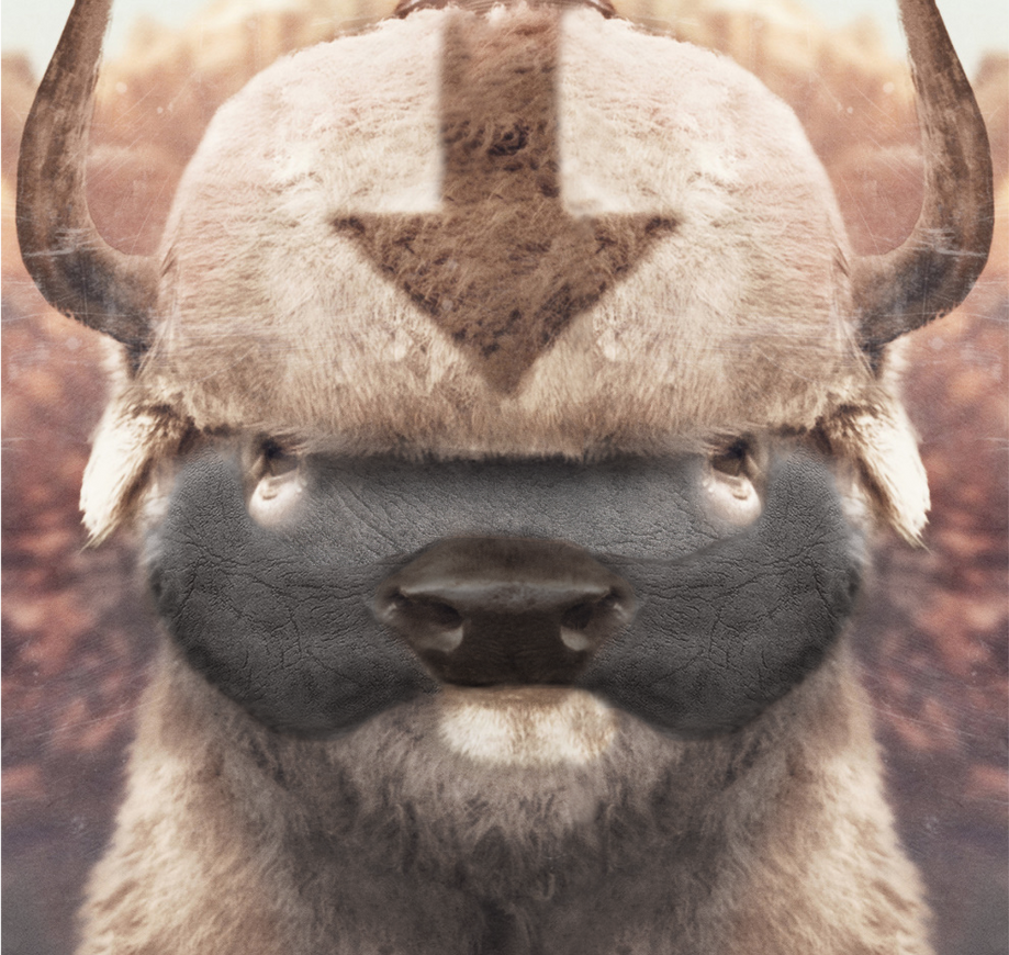 Realistic Appa by FlamincactusPMO on DeviantArt