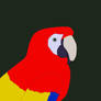 Scarlet Macaw