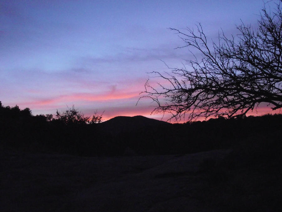 Dusk in the Desert