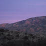 Fuchsia Mountains Majesty