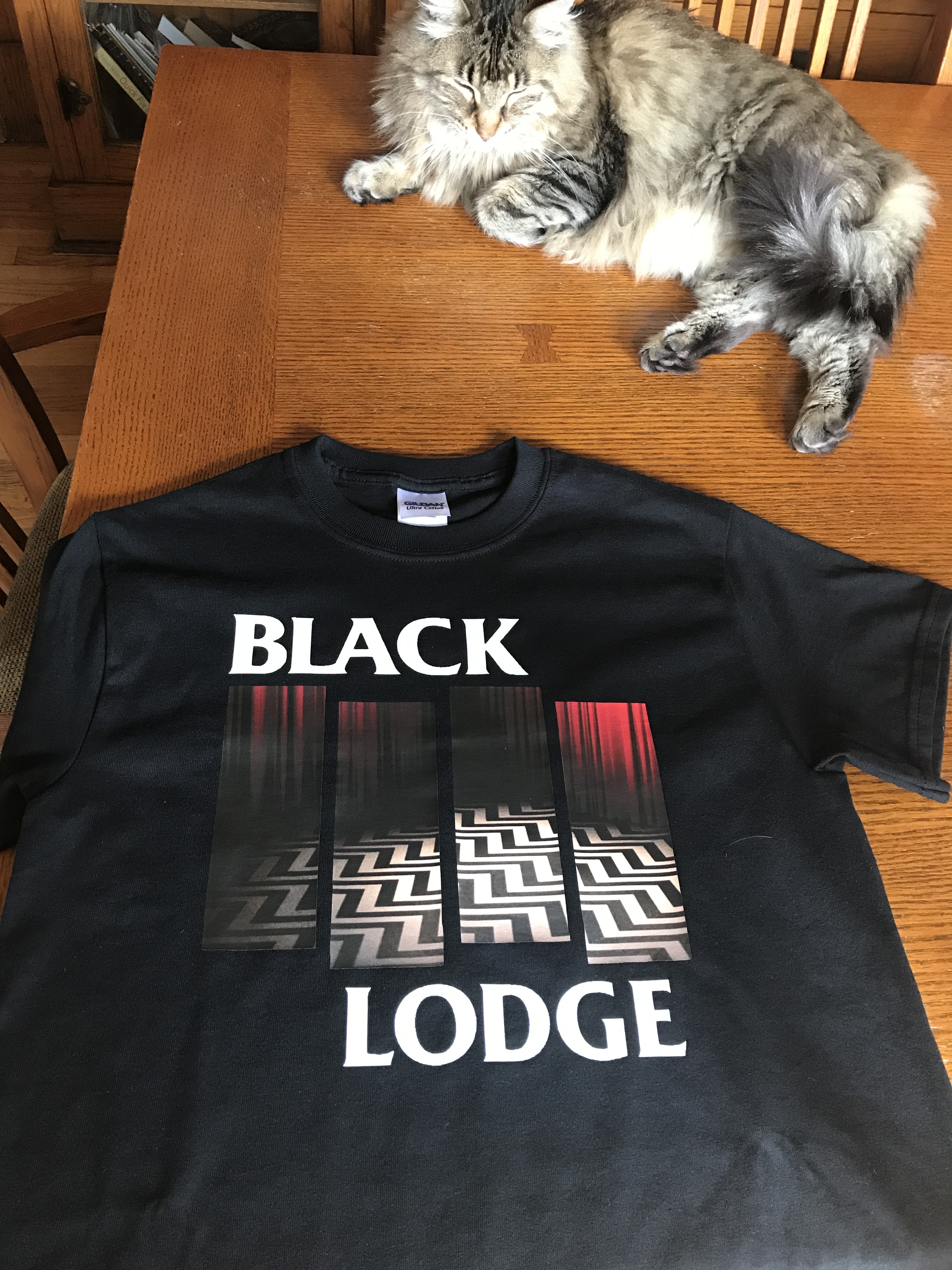 Finished Shirt and Cat