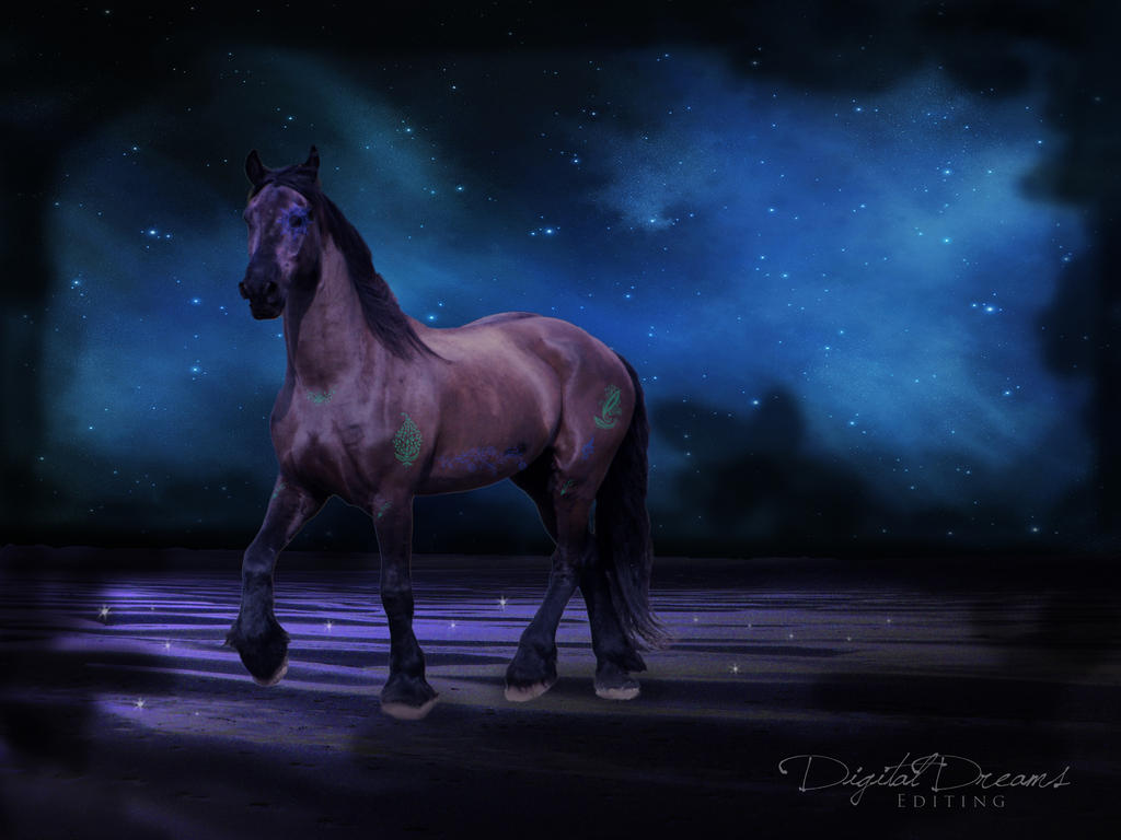 Midnight horse