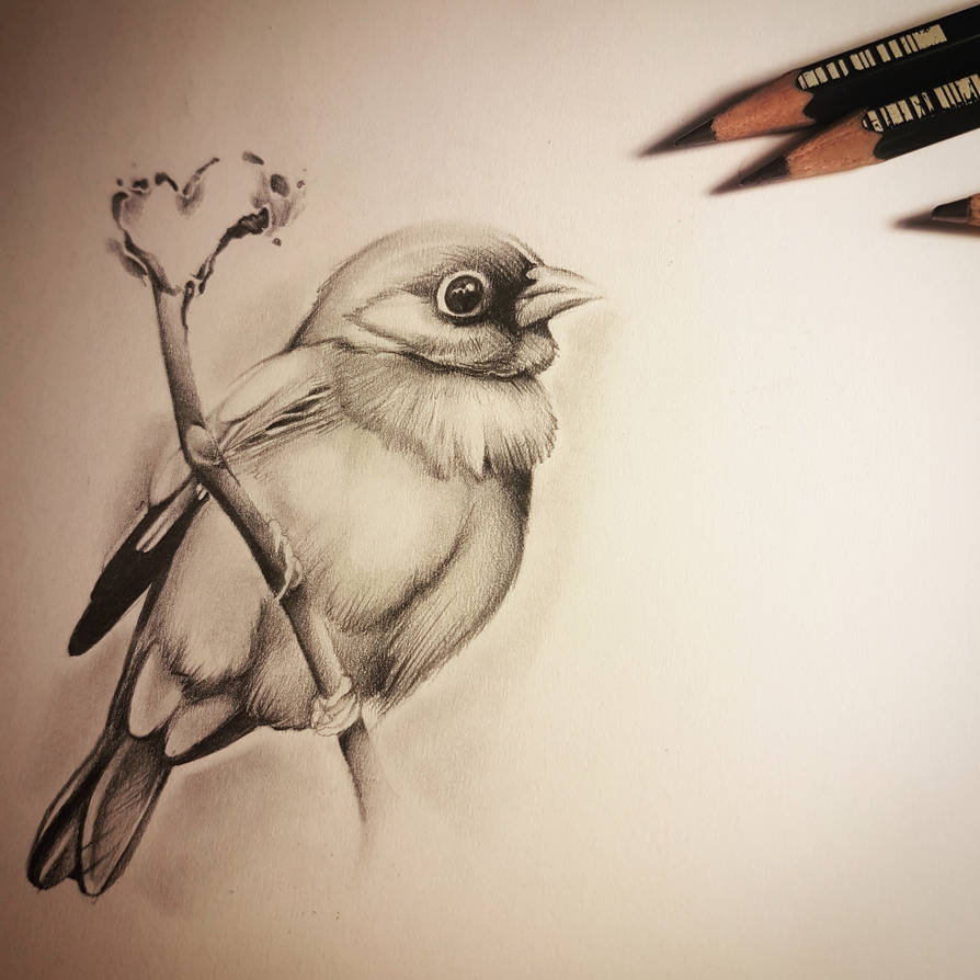 Cute Little Bird Drawing by CassandraWilson on DeviantArt