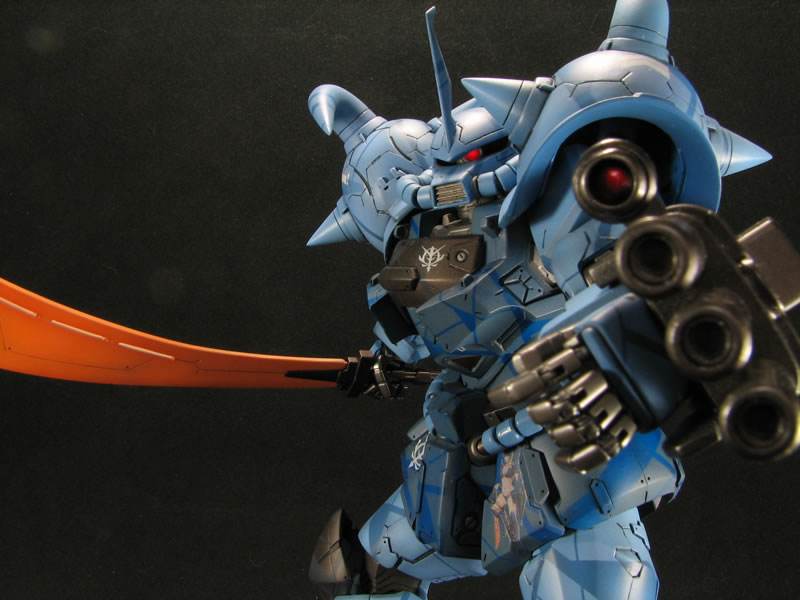 1_100 Gouf Custom