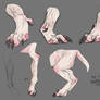 Paw and leg practice