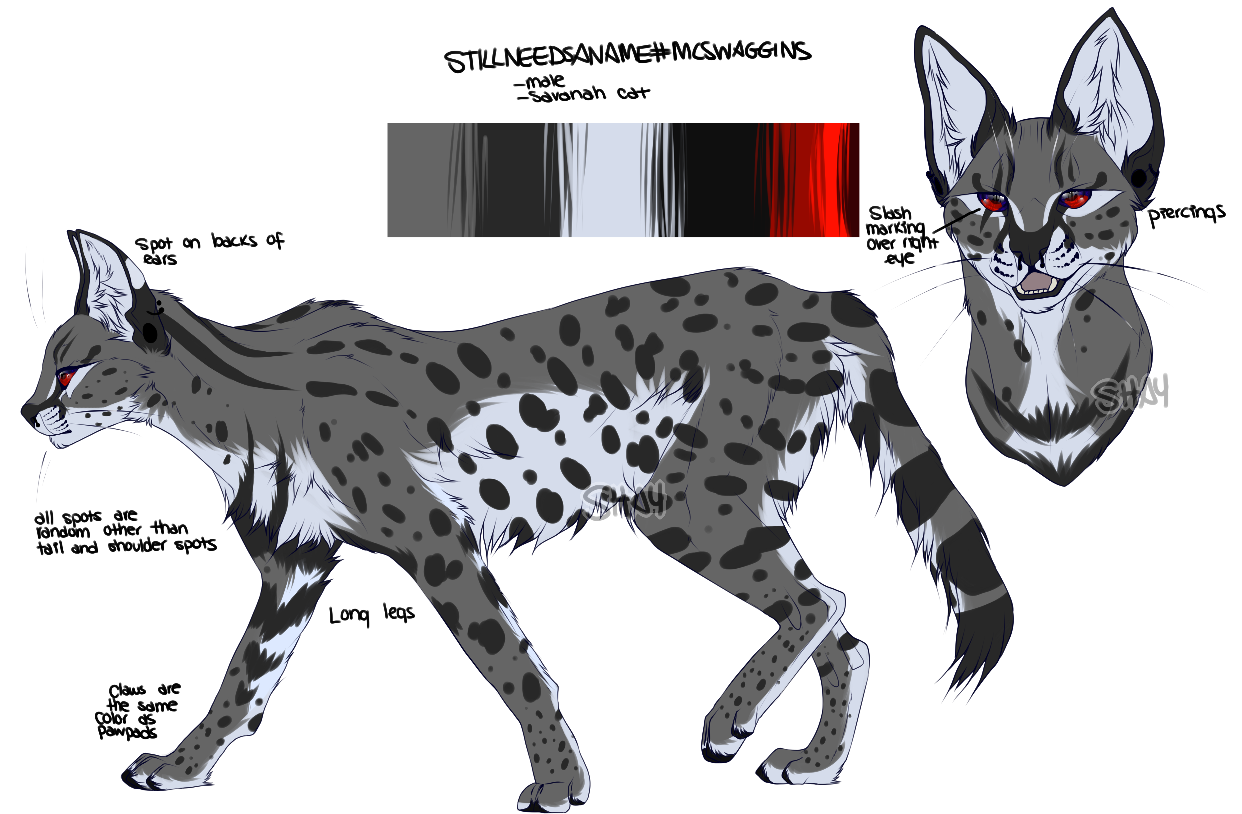 Serval Grey-Scale by FeatheredSeclude on DeviantArt