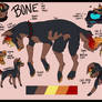 Bone Reference 2016