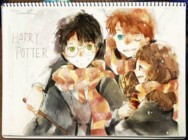 004 Harry Ron Hermione