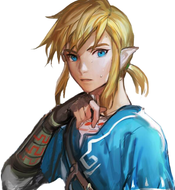 Link (Breath of the Wild), Character Profile Wikia