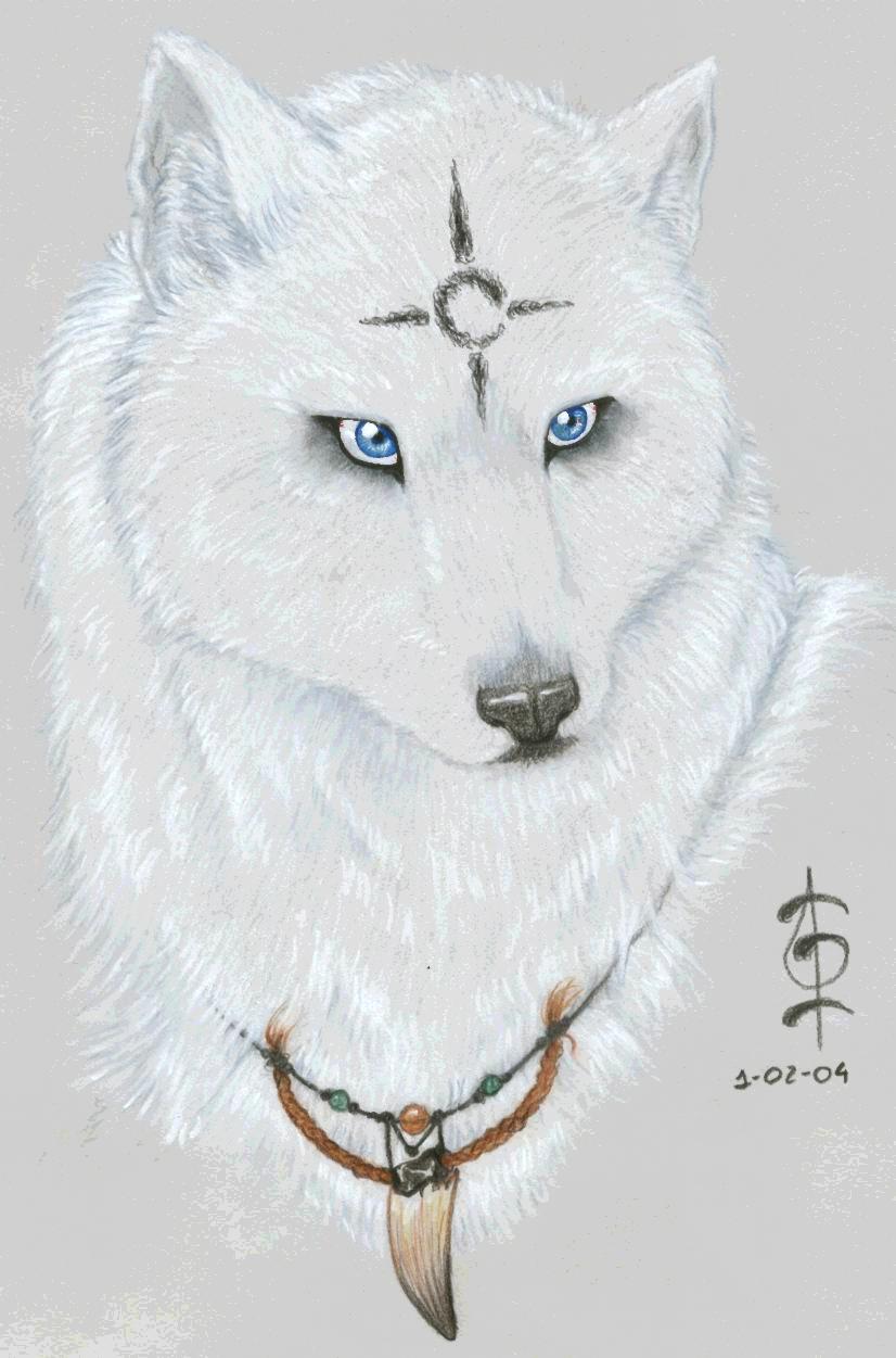 White Wolf by crescentmoon