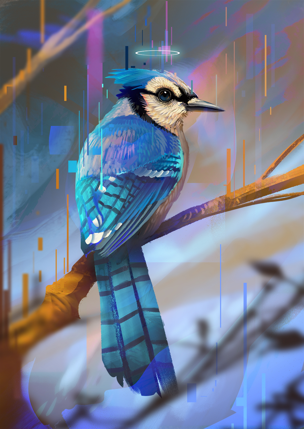 Blue Jay