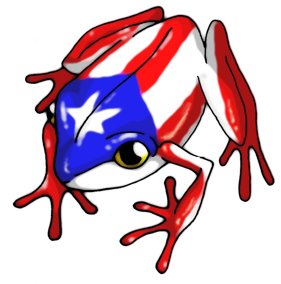 Puerto Rican Flag With Coqui Drawing