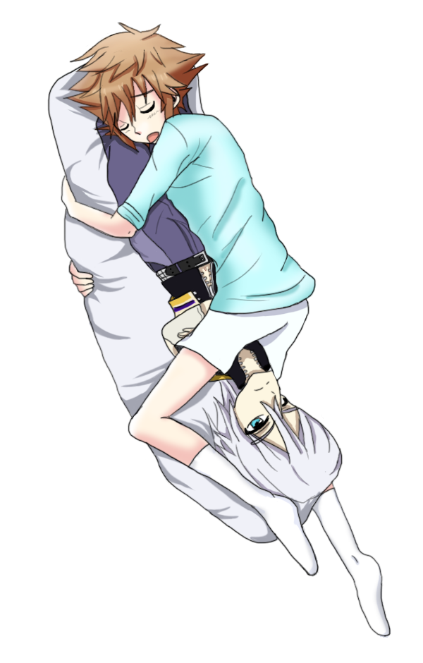 Dakimakura sales kingdom hearts