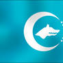 Turkic Union flag
