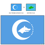 Flag of Turkic Union History