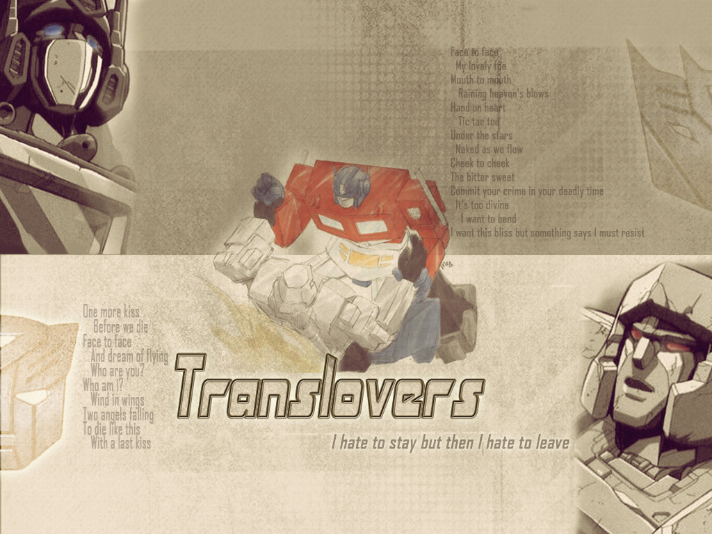 Transformers are Translovers3