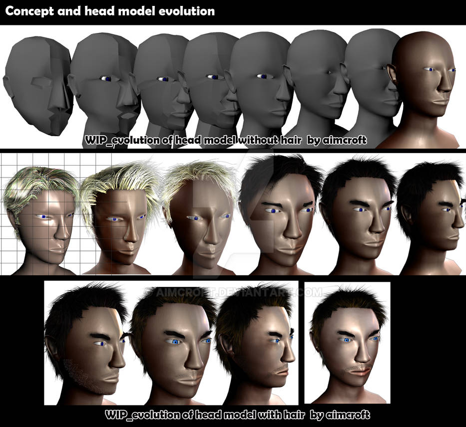 Head Evolution head model concept evolution by aimcroft on DeviantArt